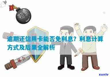 信用卡逾期还款是否可以免除利息？揭秘信用卡逾期利息的免除可能性