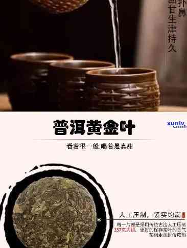 普洱黄金叶茶叶价格-普洱黄金叶茶叶价格表