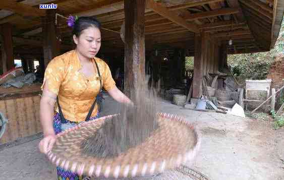 年份久远生普洱茶价格为何居高不下?