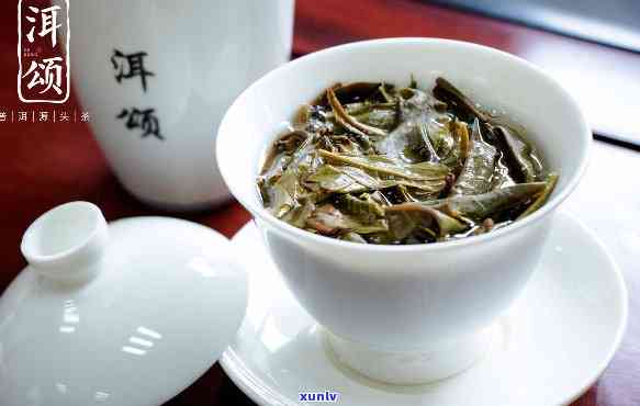 津普洱茶云南排位第几：优质选材，独特工艺，领冠茶界