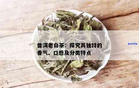 探秘普洱老白茶：它究竟属于哪一类茶？