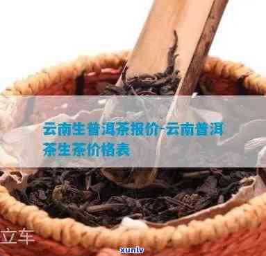 云南普洱茶生茶价格表图片大全