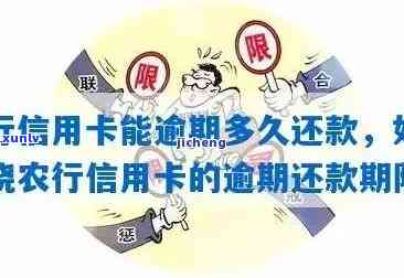 农行信用卡如何查逾期-农行信用卡如何查逾期记录