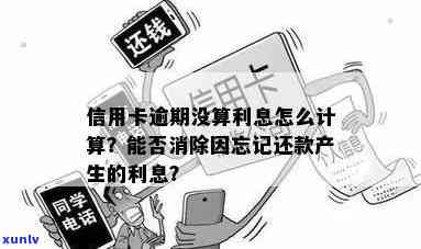 智能逾期信用卡计算器：解决您的还款难题