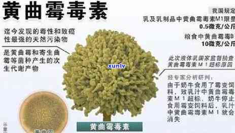 1993年份普洱熟茶市场价格分析与趋势预测