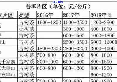 探究93年普洱茶Y562的独特风味与收藏价值