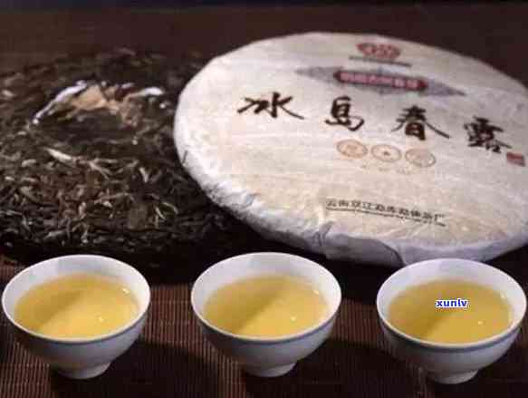 2006年陈香普洱熟茶市场价格分析