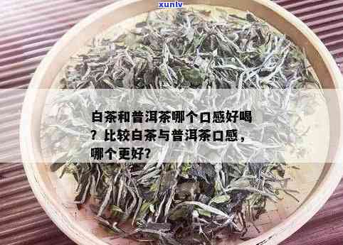 翡翠雾层：含义与鉴别 *** 