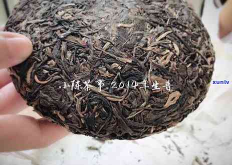 岩茶与普洱茶：究竟哪一款更胜一筹？