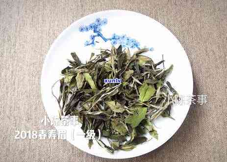 岩茶与普洱茶：究竟哪一款更胜一筹？