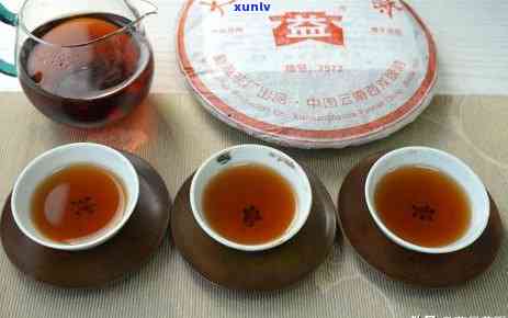 普洱熟茶配什么好喝的：茶、饮料、茶点搭配指南