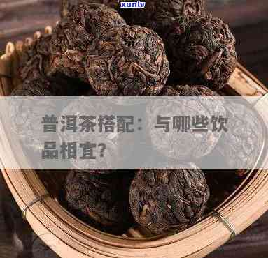 普洱和什么搭配好喝：营养饮品组合指南