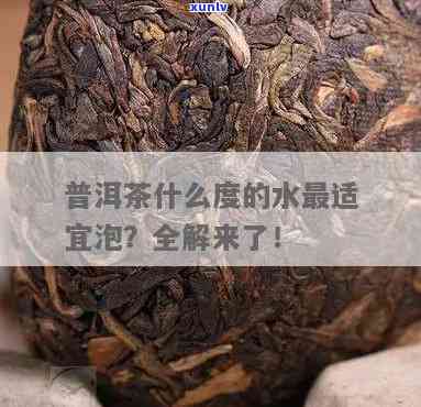 泡普洱茶的水质选择