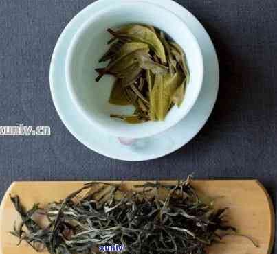 普洱茶新茶好还是旧茶好：口感、品质与差异解析