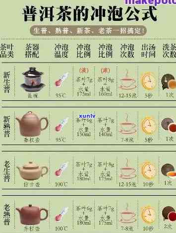 普洱新茶泡法：图解与大全