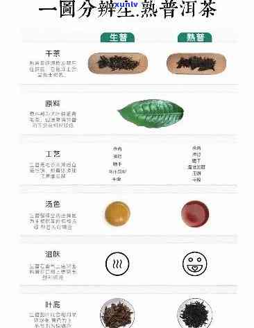 十年熟普洱茶：功效、价格与生熟普洱差异