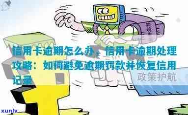 逾期后如何办理信用卡：拯救信用记录的攻略