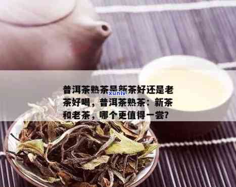 普洱新茶比老茶好喝-普洱新茶比老茶好喝吗