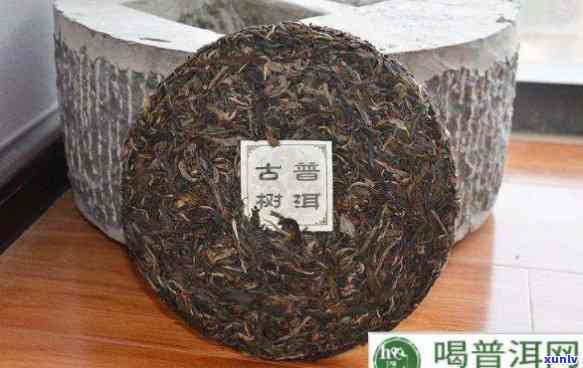 普洱新茶比老茶好喝-普洱新茶比老茶好喝吗