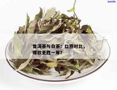 普洱与白茶：究竟哪一种茶更胜一筹？