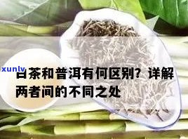 通过对比了解普洱茶和白茶哪个好-通过对比了解普洱茶和白茶哪个好呢