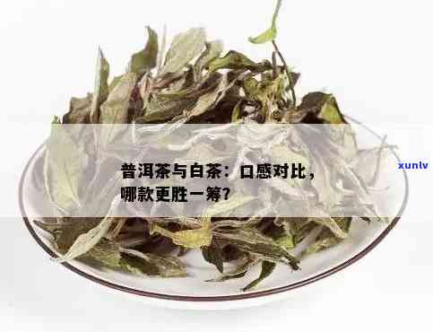 通过对比了解普洱茶和白茶哪个好-通过对比了解普洱茶和白茶哪个好呢