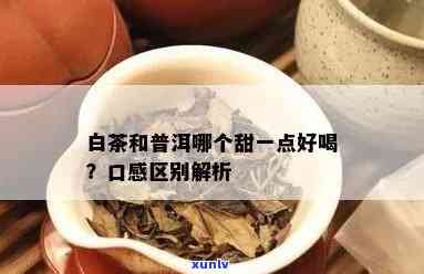 普洱和白茶哪个好喝-普洱和白茶哪个好喝一点