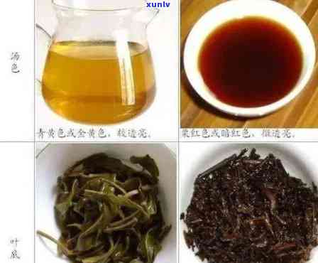 普洱和红茶哪个更好：比较普洱茶与红茶的差异及对身体的好处