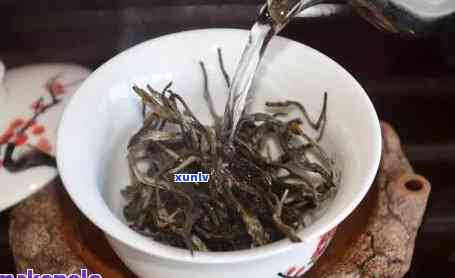 标题：如何泡好喝的糯米普洱茶？