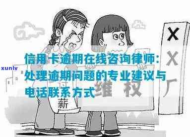 快速解决信用卡逾期问题，请联系我们的 *** 热线