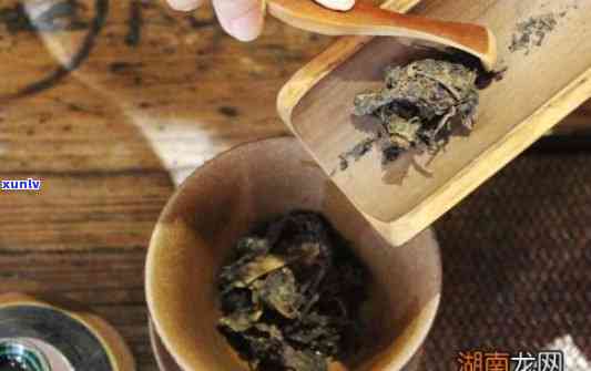 茯茶和普洱的口味区别：差异与特点分析