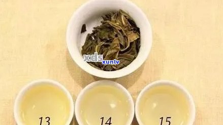 乌龙茶与普洱茶：风味与保健的对比解析