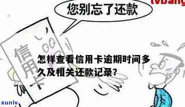 怎么看信用卡逾期时间：掌握逾期还款天数与记录查询