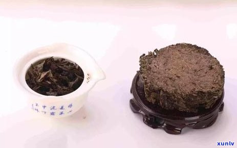 普洱和茯茶哪个好喝-普洱和茯茶哪个好喝一点