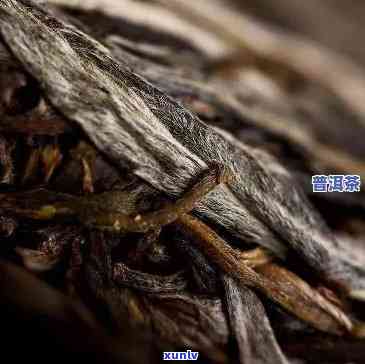 老班章老茶：特点、口感与熟茶价格探究