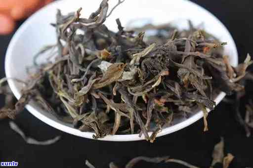 探究云南老班章茶的茶类归属：究竟属于哪一类茶叶？