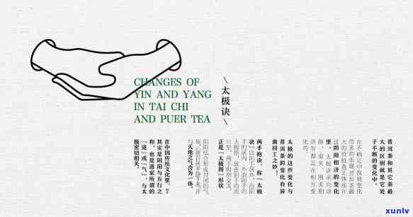 探究普洱春秋大义之美：品味茶香中的历韵味