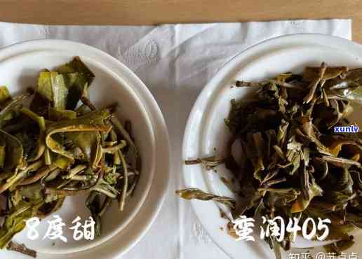 探寻普洱生茶佳品：各大口感测评对比