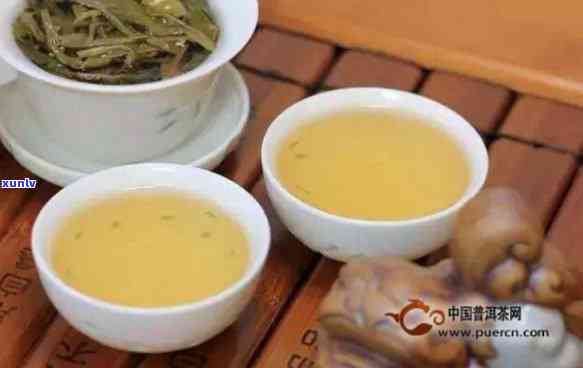 布朗和老班章普洱茶：价格、区别与茶农协会