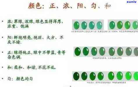 高危翡翠怎么分辨真假：图片、视频、图解及价格解析