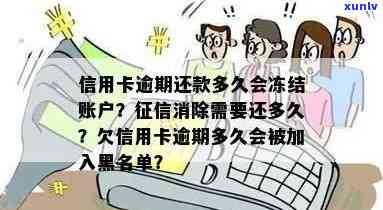 信用卡逾期还款后，银行通常多久开始冻结账户？