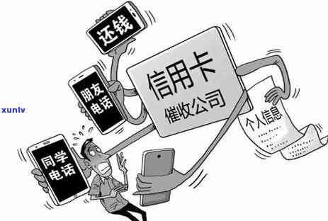 2020年信用卡逾期金额统计与分析