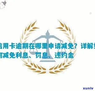 怎么申请信用卡逾期罚息-怎么申请信用卡逾期罚息减免