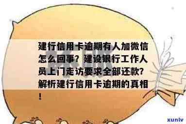 老红加绿翡翠挂件