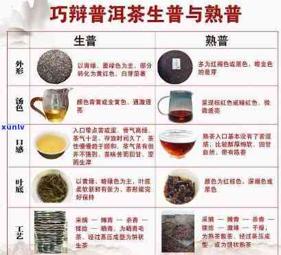 探究班章与普洱茶区别：风味、产地与工艺对比