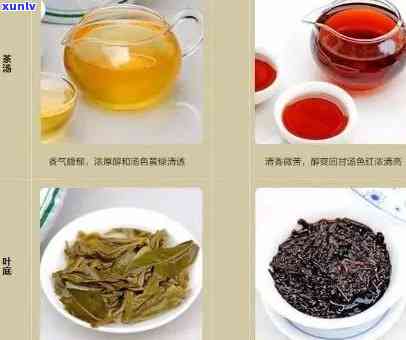 探究普洱茶的分类：红茶还是绿茶？