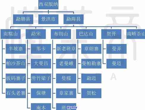 勐海茶区的普洱茶特点与二线寨子品种概览