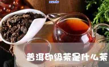 普洱印级茶是什么茶-普洱印级茶是什么茶?