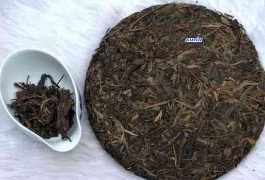 揭秘普洱饼茶：是生茶还是熟茶的谜题