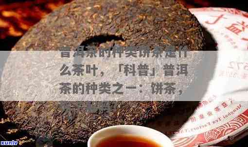 普洱饼茶属于什么茶-普洱饼茶属于什么茶类